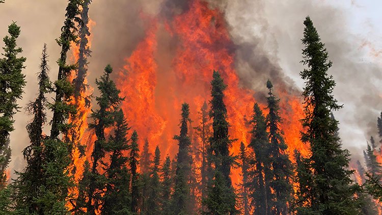 Alberta Wildfires Force Evacuation of 15,000 as Spring Blaze Surges