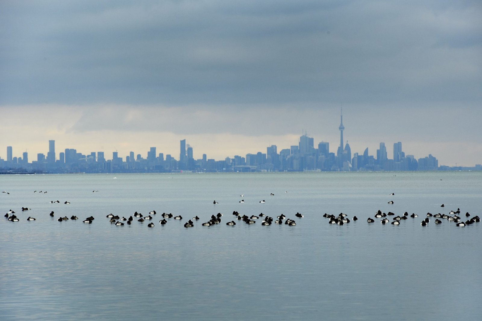 Toronto Braces for Record-Breaking Cold Snap This April
