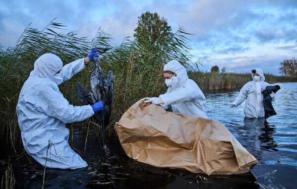 US Reports World’s First Human Case Of H5N5 Bird Flu