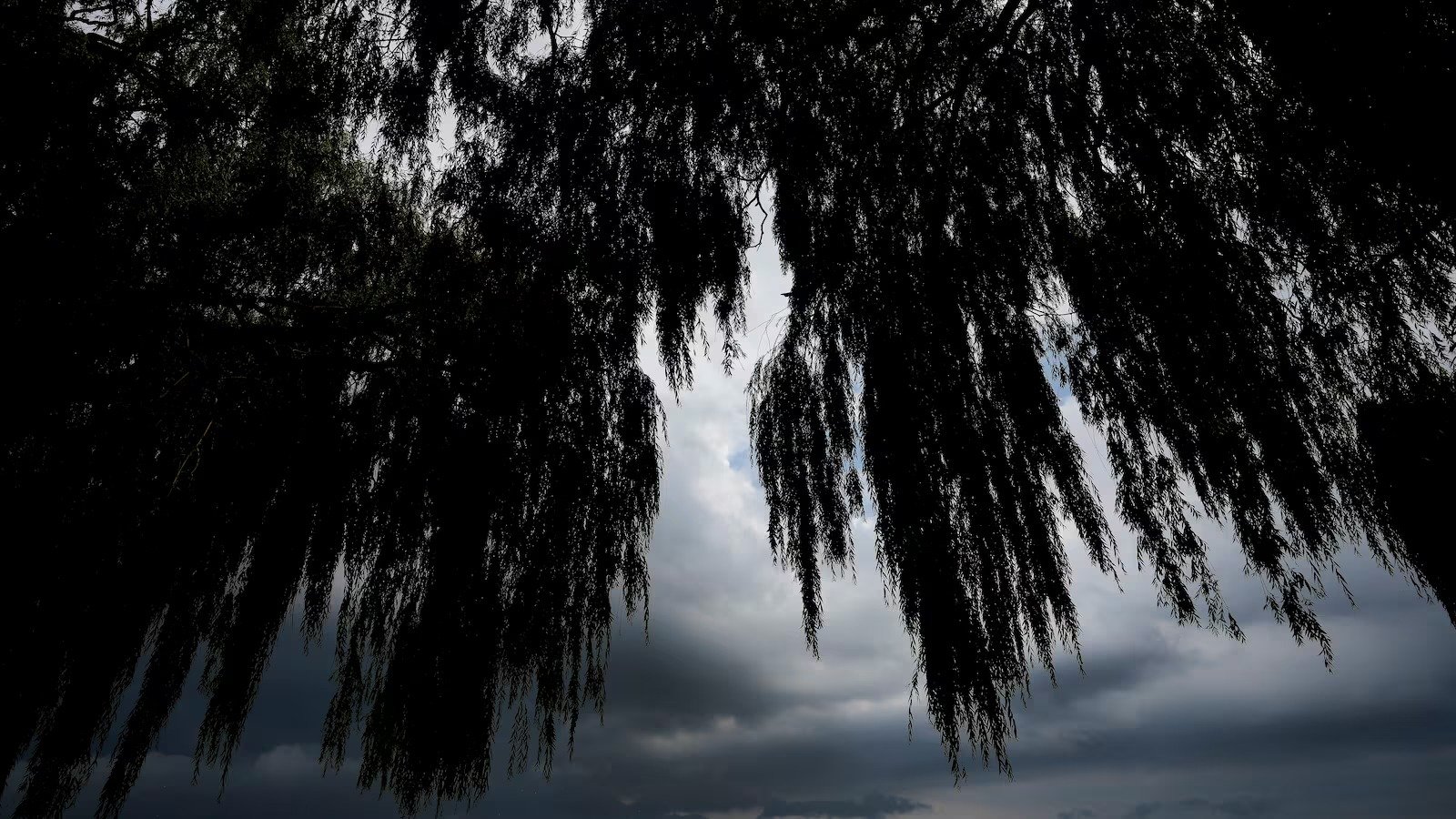 Thunderstorms and gusty winds are in the forecast for Toronto on Tuesday